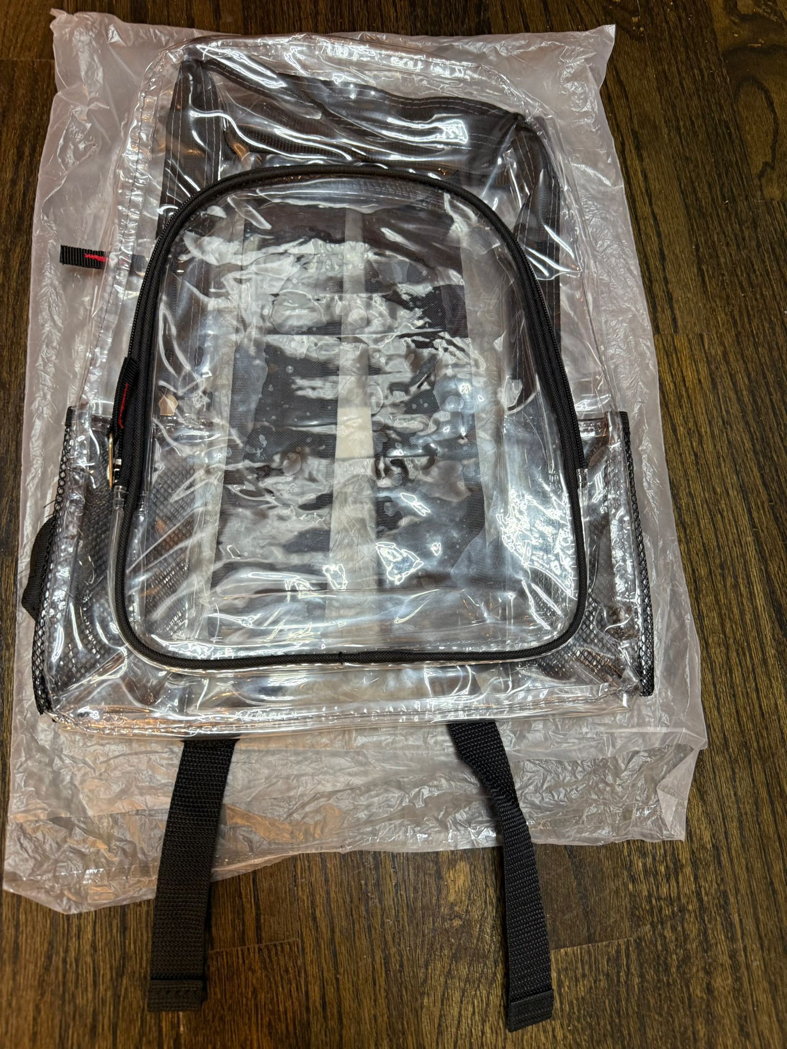 Clear Backpack