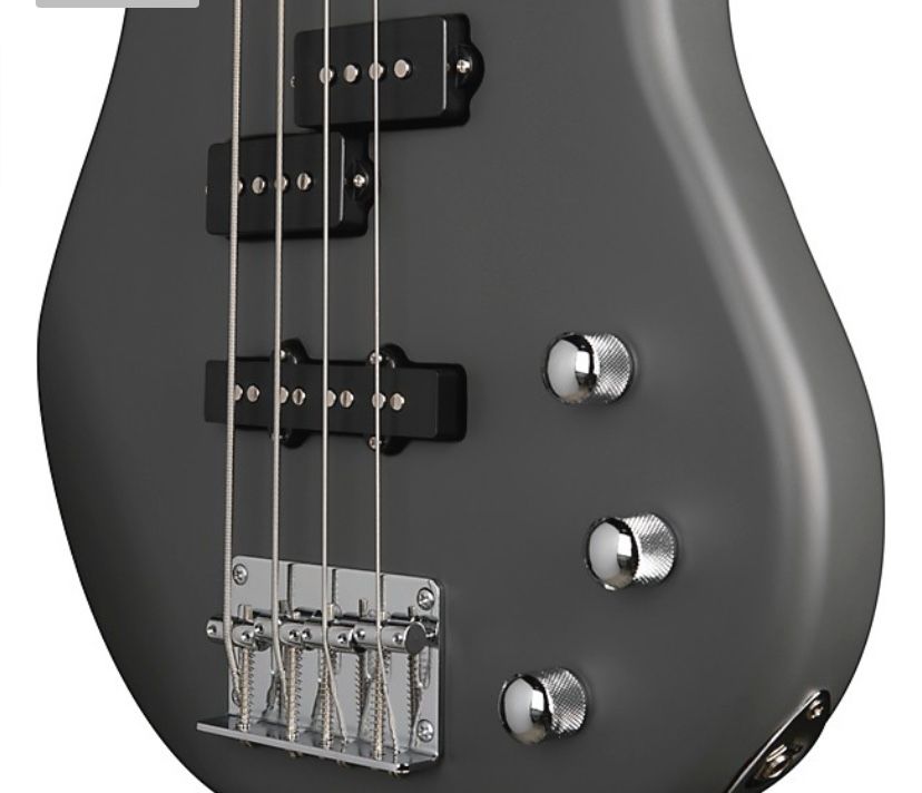 Bass Guitar
