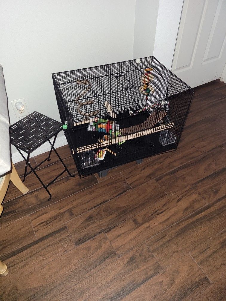 Bird Cage