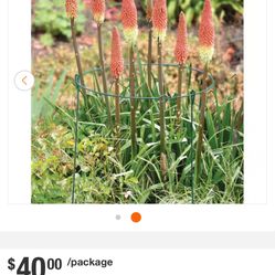 Wraparound Plant Support 