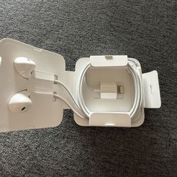 Apple Earphones 