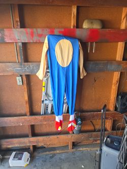Kids L sonic costume