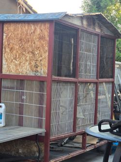 Bird Cage