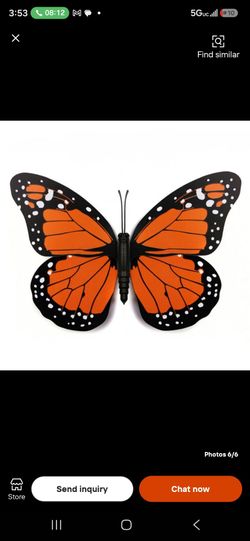 Butterfly