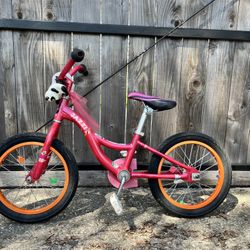 Kids Bike 16 Inch 