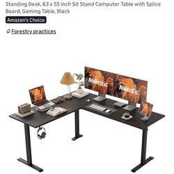 Standing Desk