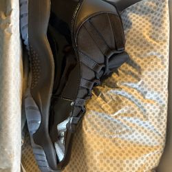 Jordan 11 (blue Gamma)