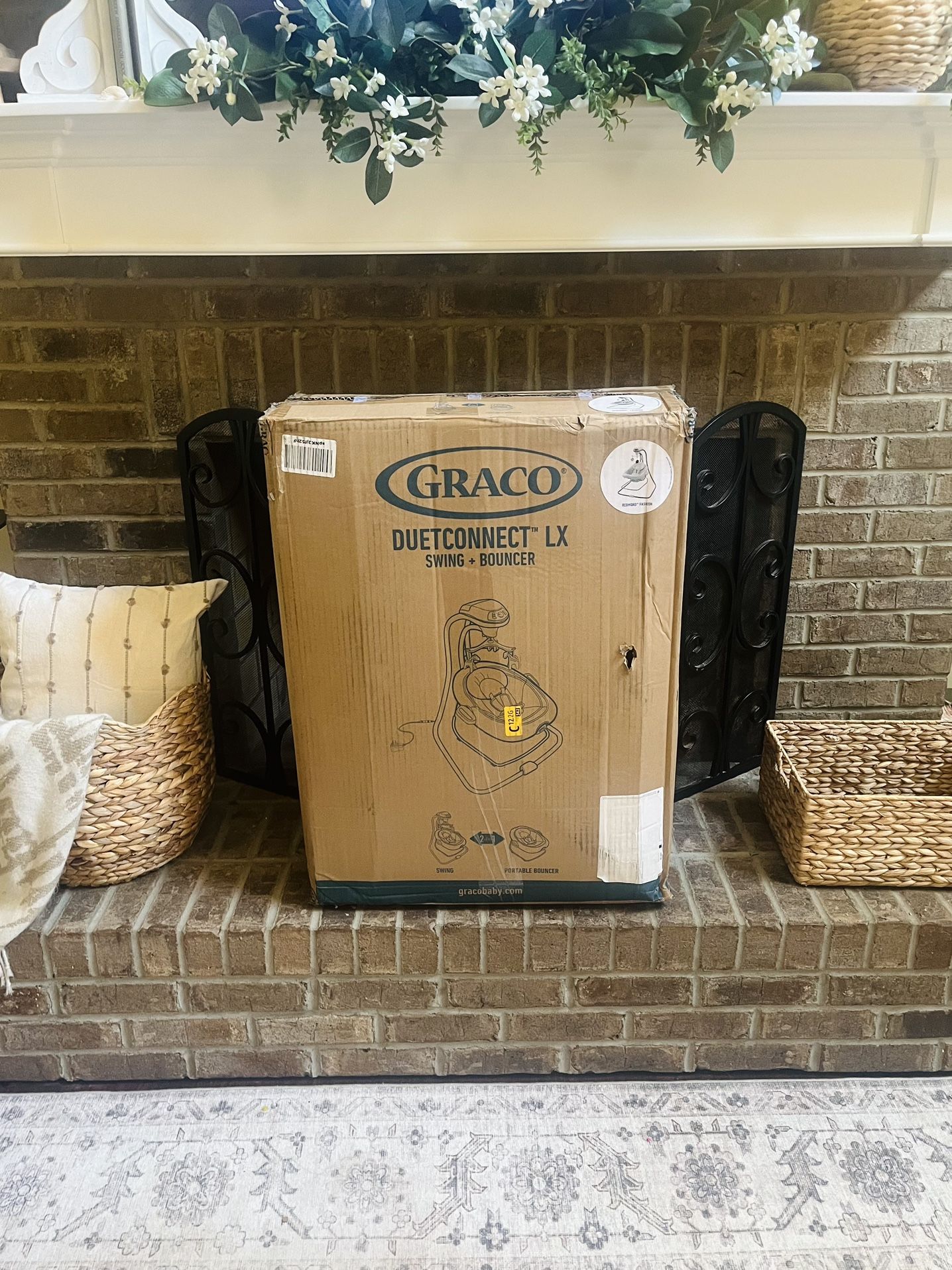 Graco DualConnect Swing/Bouncer