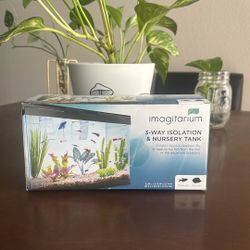 3- Way Isolation And Nursery Fish Tank 