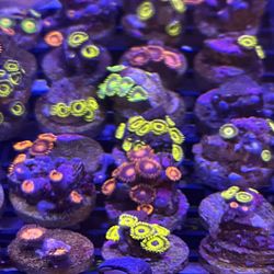 Fake Fish Tank Decoration 