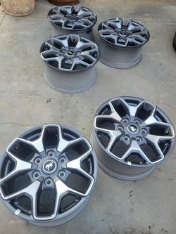 17" Bronco Rims