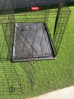 Large dog Kennel