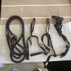 Slip Lead And Gentle Leader / Head Halter