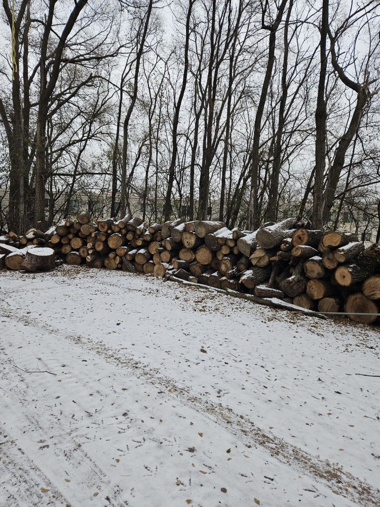 FIREWOOD Free 10 CORDS