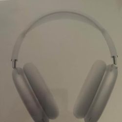 Apple AirPods Pro Max