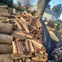 Firewood 