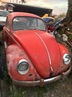 1965 Volkswagen Beetle