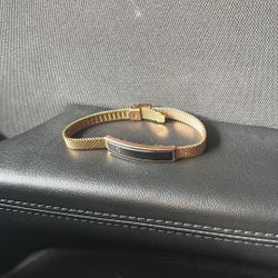 Eco CleanPath Model B3 Fitness Band