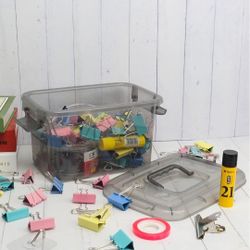 Storage Bins