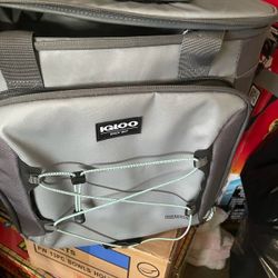 Igloo Cooler Pale
