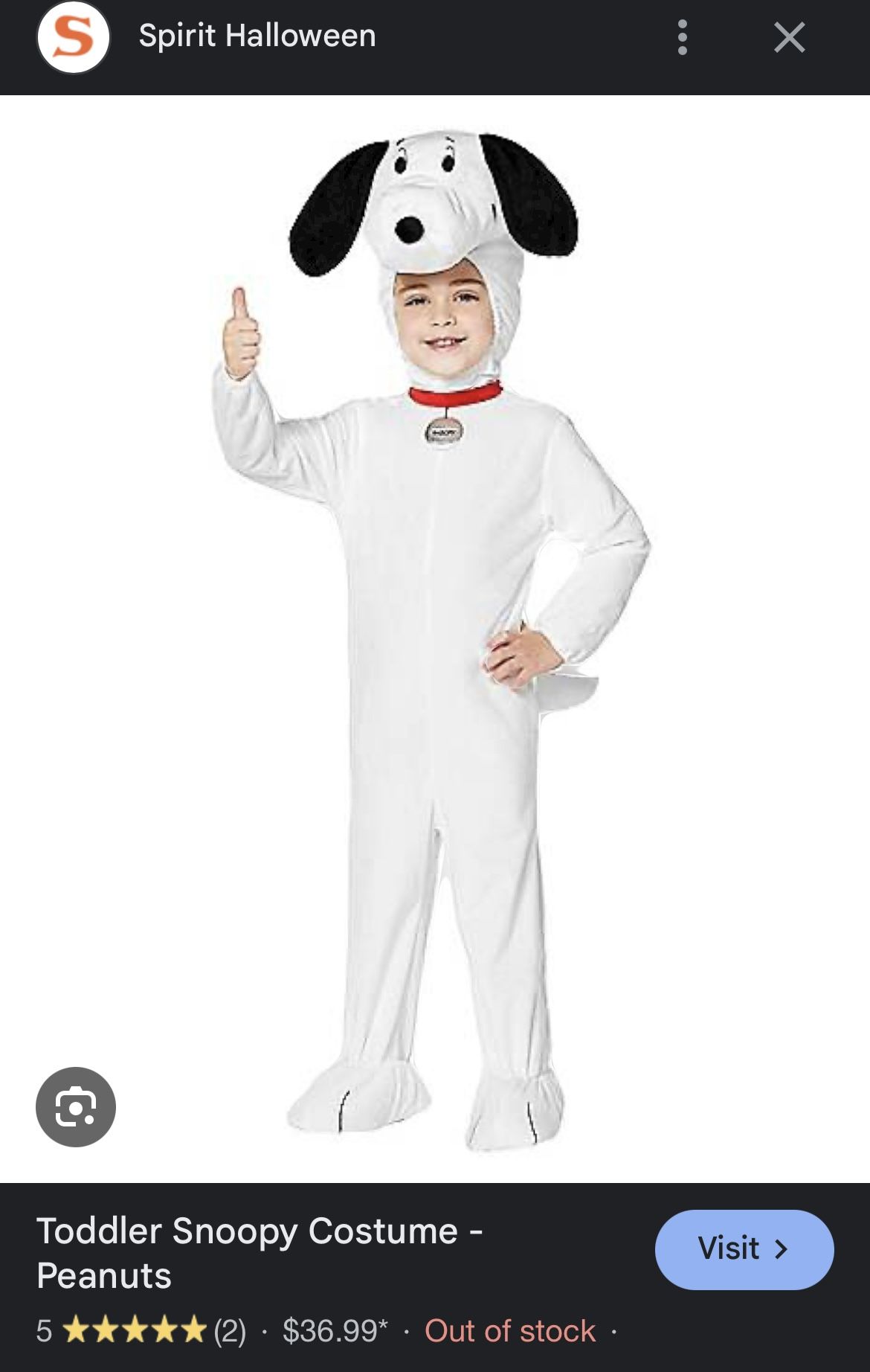 Halloween Costume