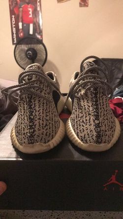 Size 7 turtle doves