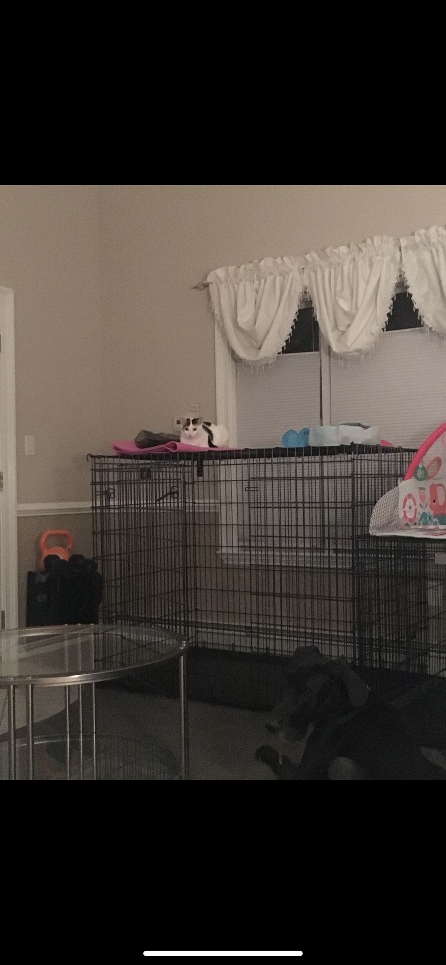 Extra Large Kennel