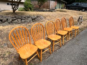Dining Wood Chairs