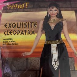 Cleopatra Adult Costume size L