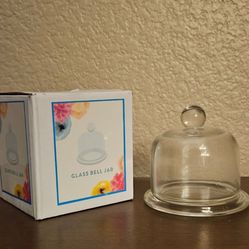Extra Small Glass cloche or Display dome
