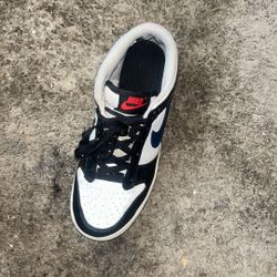 Easy Cleanable Nike Dunks