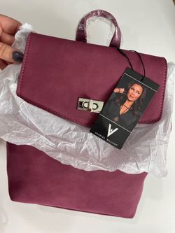 Vanessa Williams bag