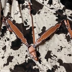 Headstall and Breast Collar 