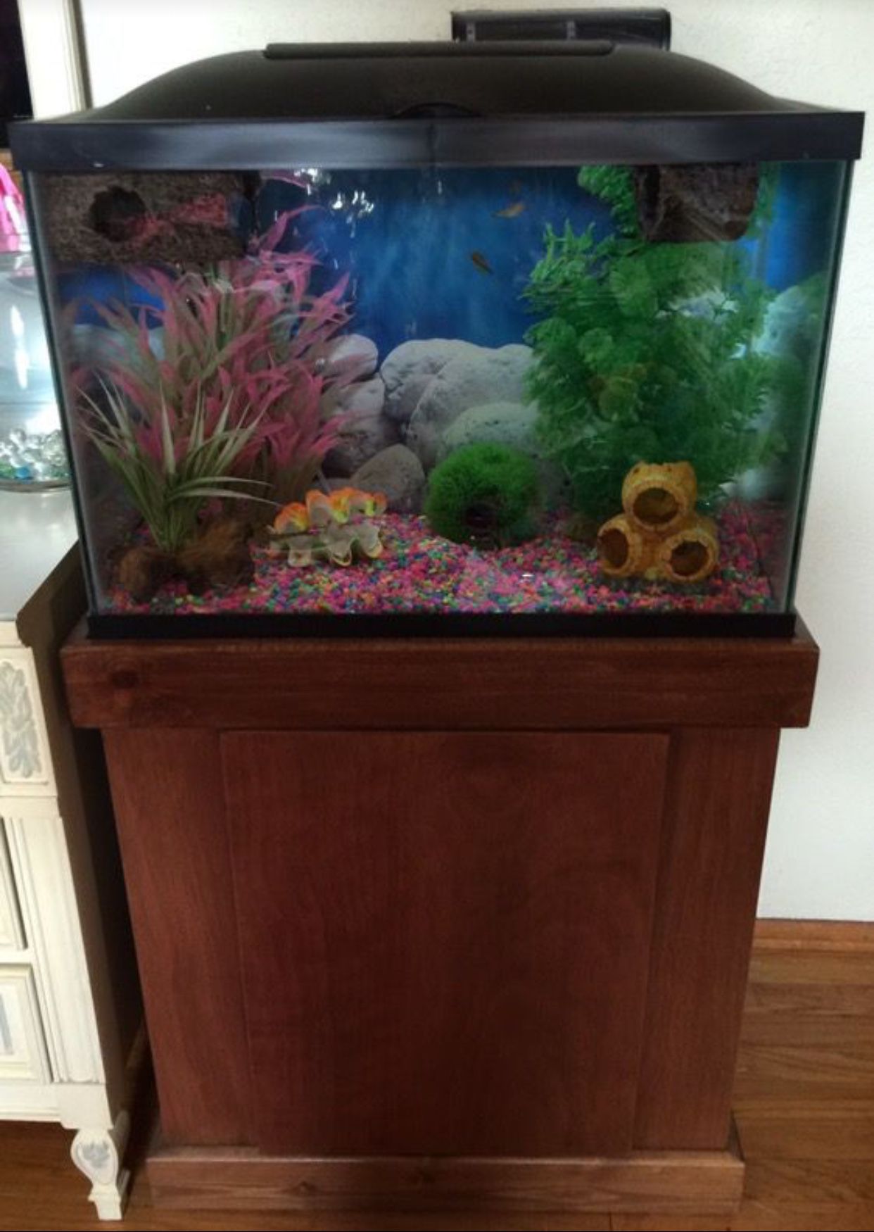 20 gallon aquarium with wood stand 🐠 