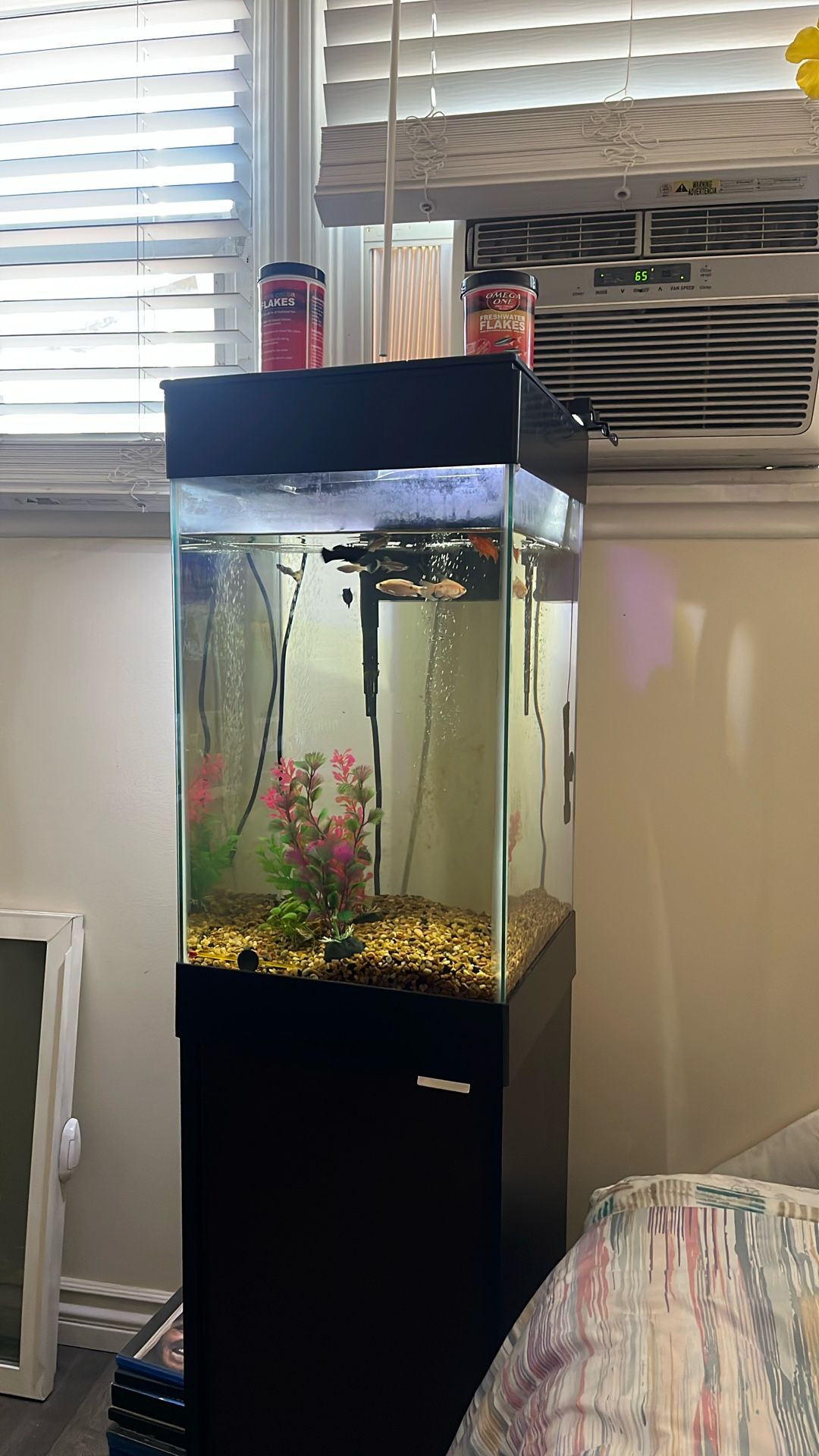 Fish Tank 20 Gallon With Stand And Light With Remote