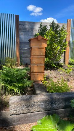 Beehive 