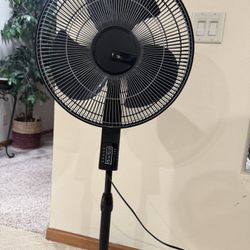 Lasko Fan (like New)  