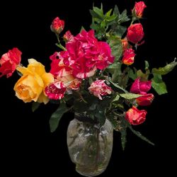 Fresh live floral arrangements.
Assorted  roses