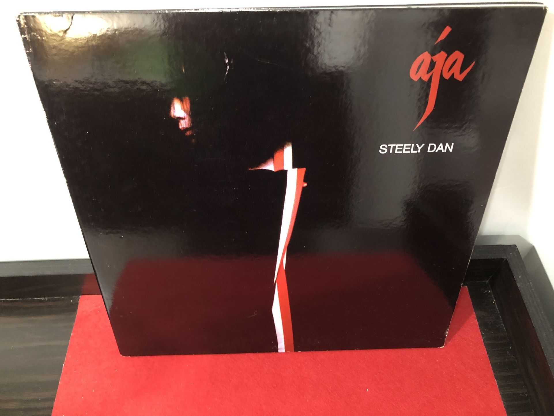 Steely Dan Vinyl Record