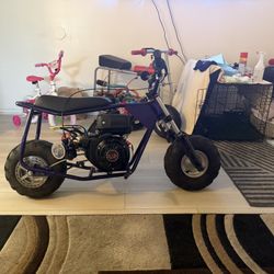 Custom Coleman Ct100x 