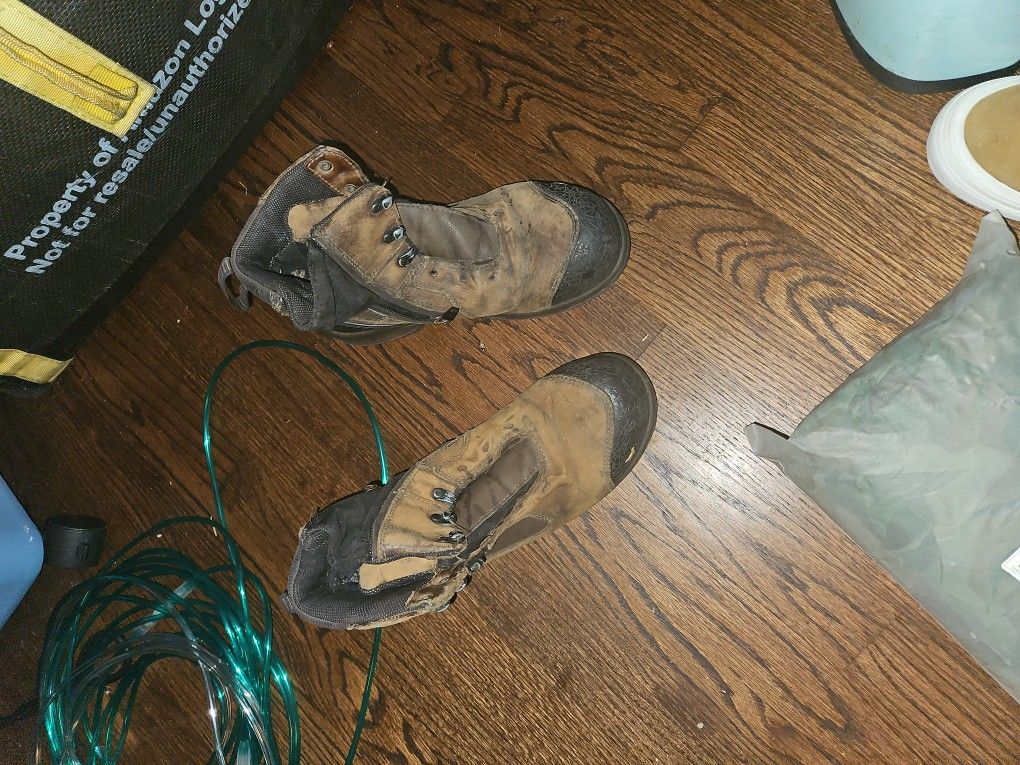 Red wing irish settlers