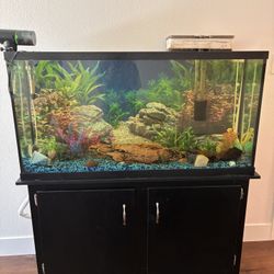 Free Giant Fish Tank 60 Gallon