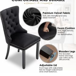 New Velvets Dining Chairs (Black,beige)