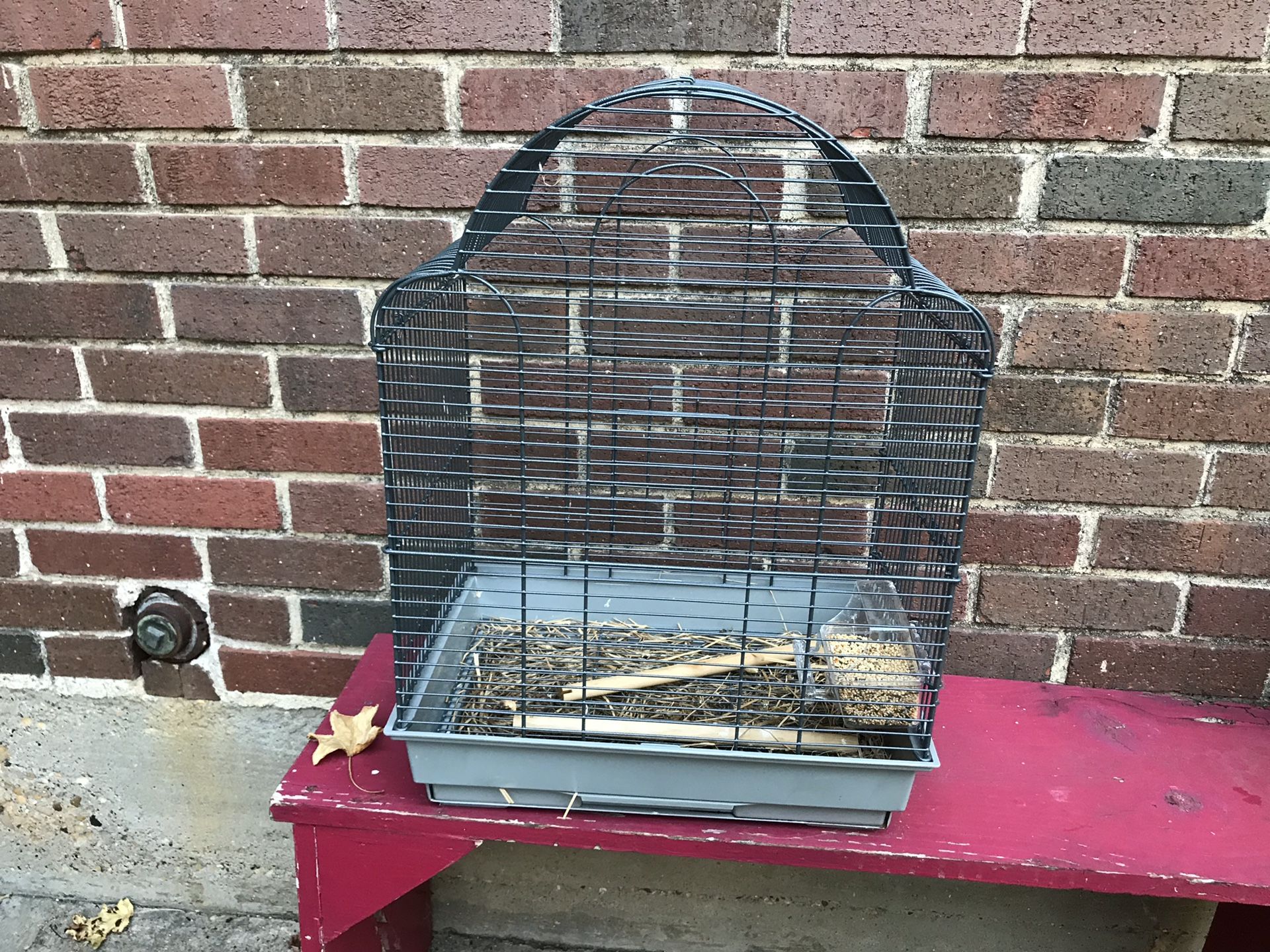 Bird Cage