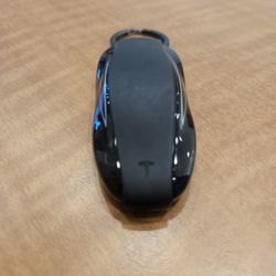 Tesla Key Fob