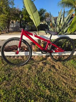 Redline 24"