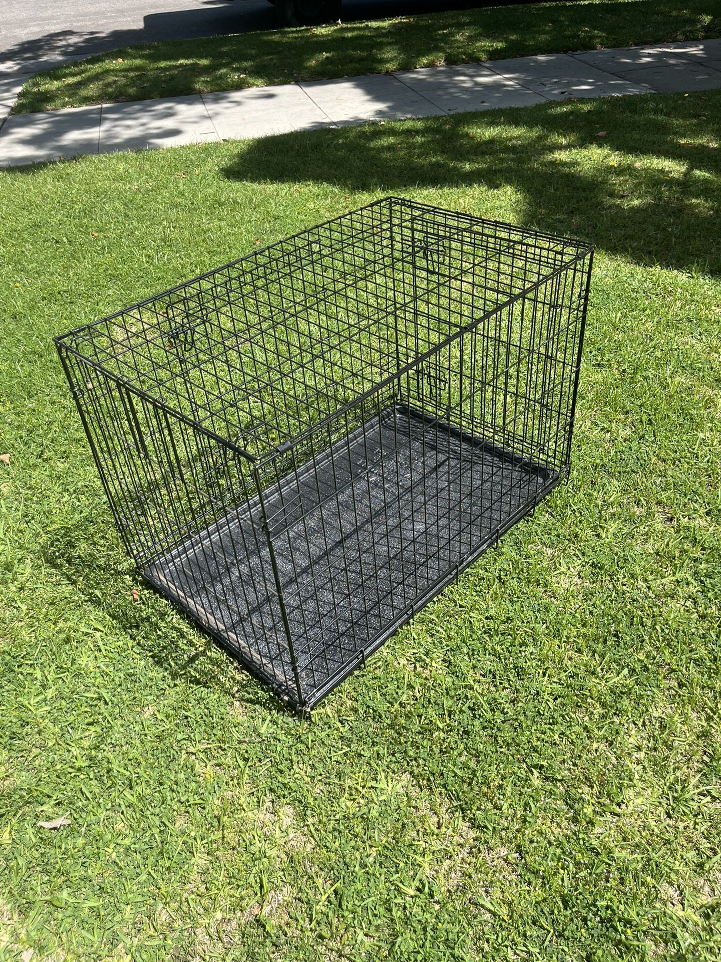 Dog kennel 