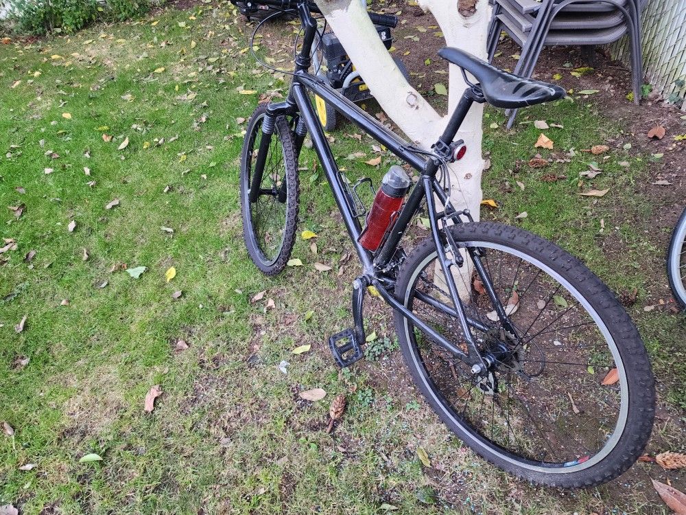 Custom Black Mountain Bike