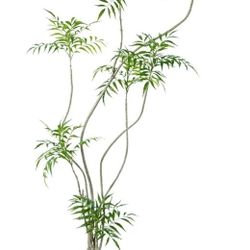 Artificial Mahonia fortunei Tree,6ft Tall Fake Plants Artificial Mahonia fortunei Plants for Indoor, Fake Trees for Office Home Living Room Floor Pati