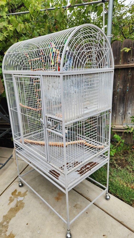 Cage For Birds